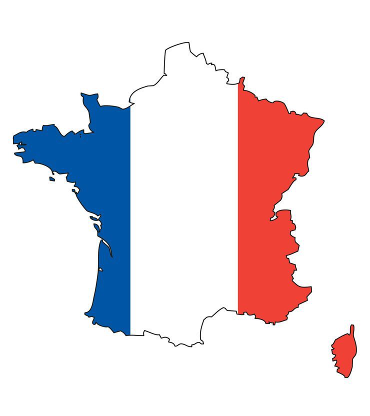 خدمات الترجمة إلى الفرنسية